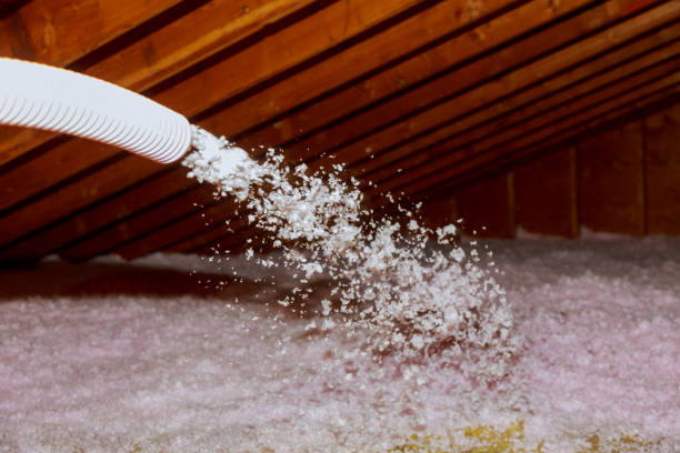 Best Crawl Space Insulation  in Central, SC