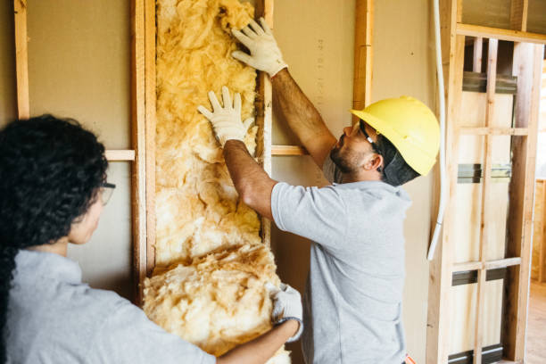 Best Spray Foam Insulation  in Central, SC